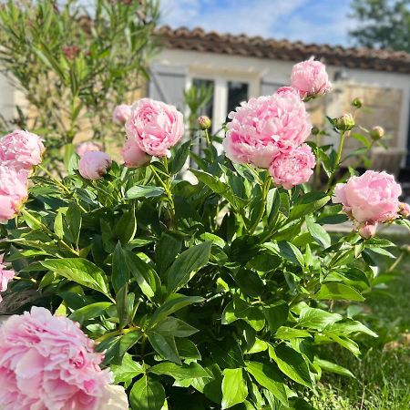 Gite, Fitness&Billard gratuit&SPA Mas la Farelle Nîmes Esterno foto