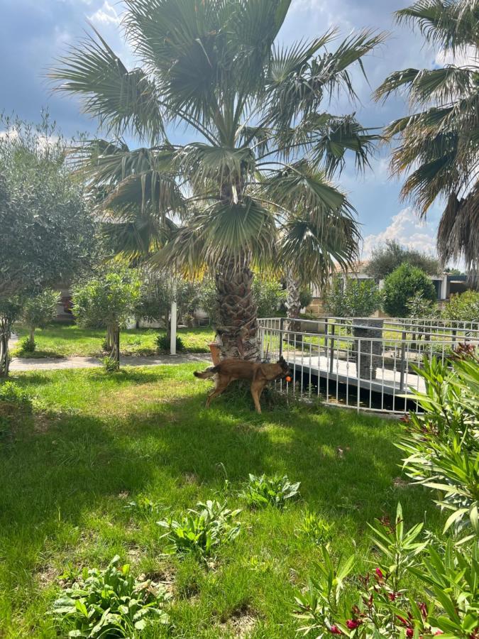 Gite, Fitness&Billard gratuit&SPA Mas la Farelle Nîmes Esterno foto